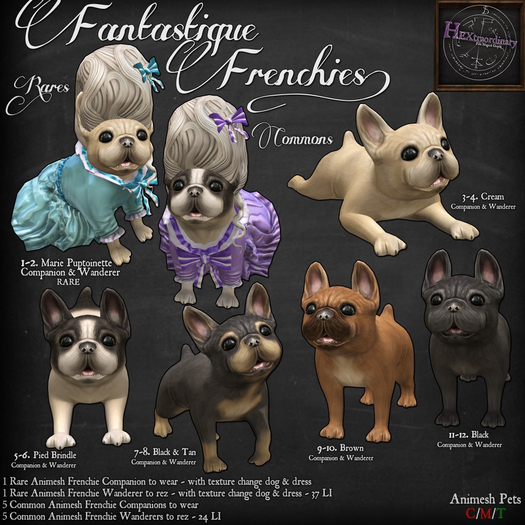*HEXtraordinary* Cream Frenchie Companion - ADD