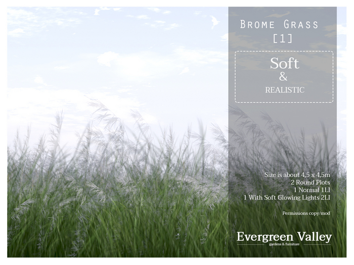 Grass|Brome 