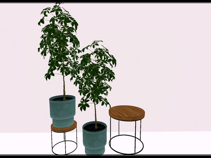 [AE] Home & Garden - Umbrella Plant & Stand