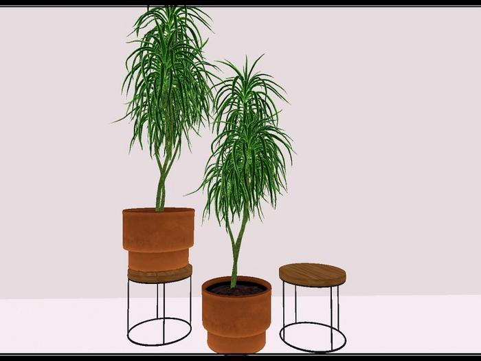 [AE] Home & Garden -  Rainbow Plant & Stand