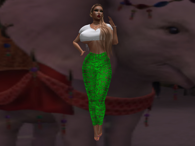 KOKO'S CLOSET GREEN LACE PANTS