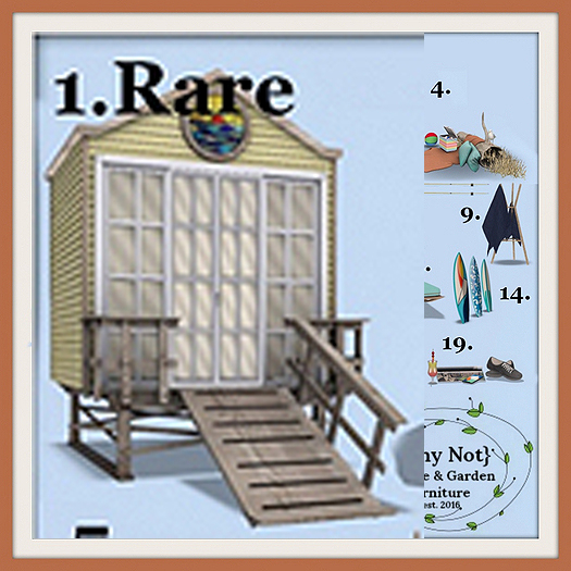 01{Why Not?} Perranporth Beach Hut RARE