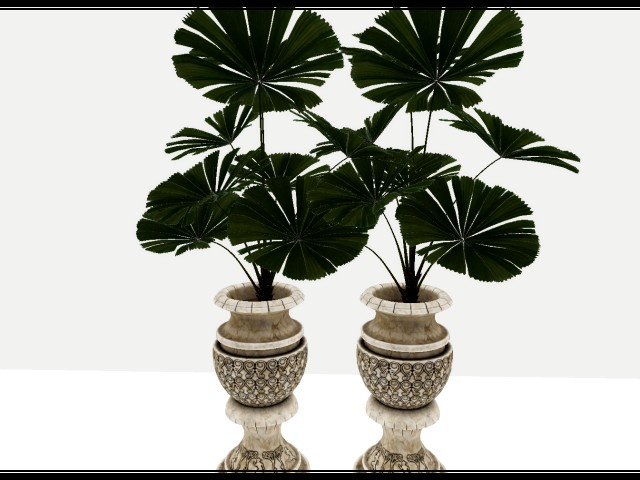 [AE] Home & Garden - Persian Pot Plant B