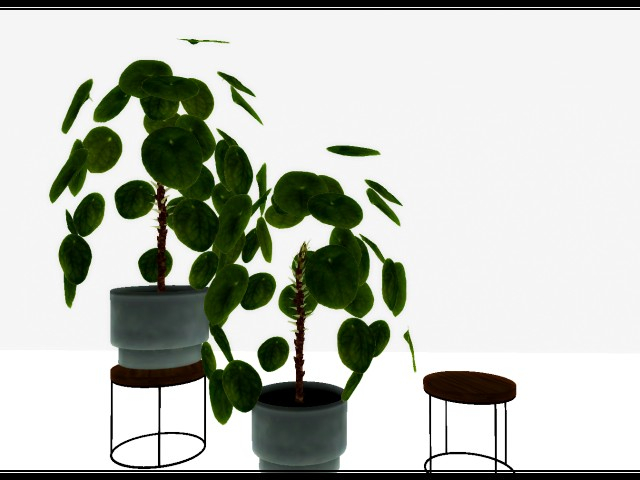 [AE] Home & Garden - Pancake Plant &  Stand