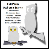 Full Perm Owl on a Branch