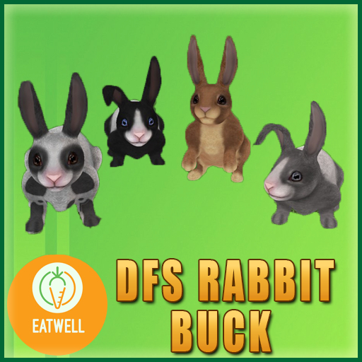 DFS Rabbit Buck (Actual Item)