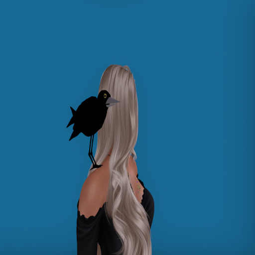 Raven Shoulder Pet