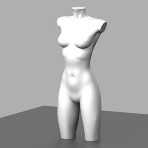 . Or . Female Torso full pem