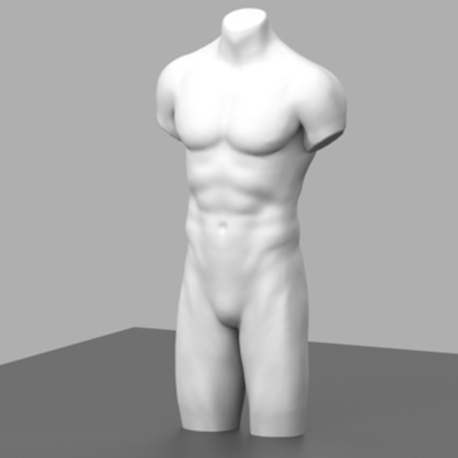 . Or . Male Torso full pem