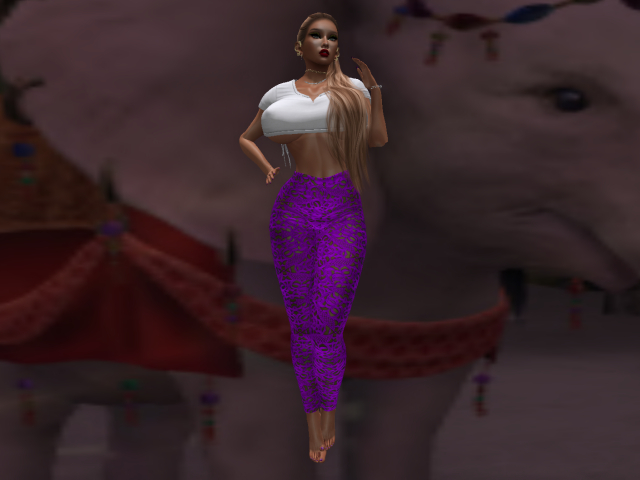 KOKO'S CLOSET PURPLE LACE PANTS