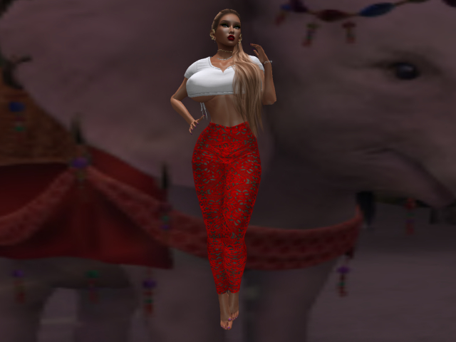 KOKO'S CLOSET RED LACE PANTS