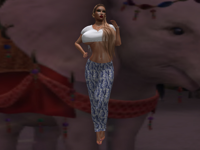 KOKO'S CLOSET BLUE AND WHITE PANTS