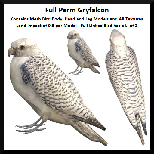 Full Perm Gryfalcon