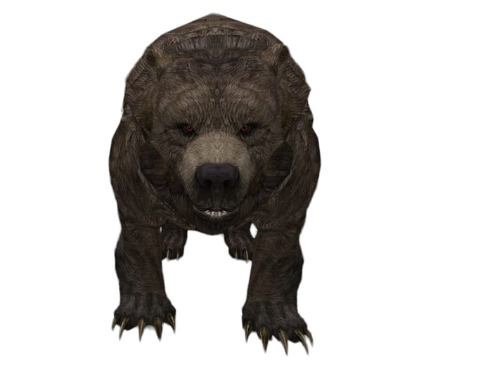 Big Bear