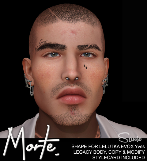 M. SANTO SHAPE