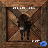 DFS Cow - Bosk