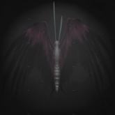 {Papillon} Ma/Sma/Nor/Rin/Butterfly/FeatheredB Cocoon