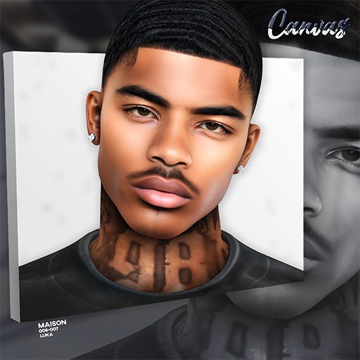 Canvas / Maison Skin / Pack