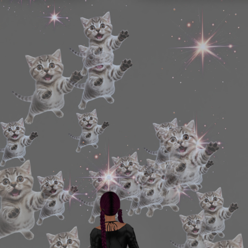 Flying Kitten Confetti Tosser Thrower