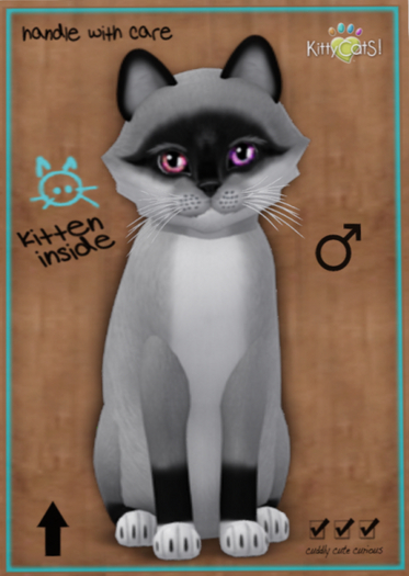 KittyCatS Box - Foxie - Salt and Pepper