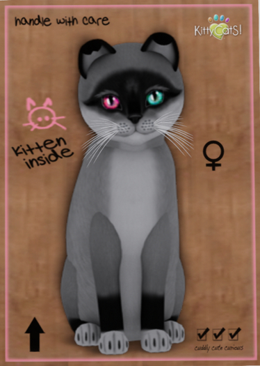 KittyCatS Box - Foxie - Salt & Pepper Mask