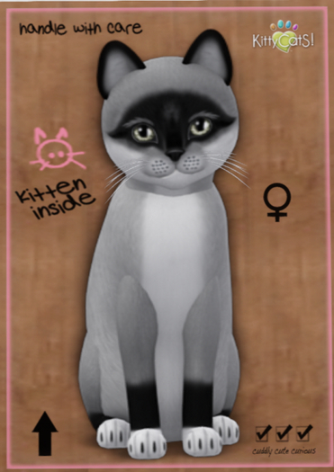 KittyCatS Box - Foxie - Salt & Pepper Mask