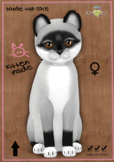 KittyCatS Box - Foxie - Salt & Pepper Mask