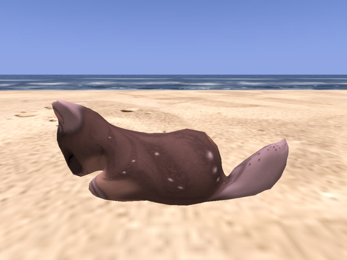 Stray Cats Kitten - Stray Kitty (M)