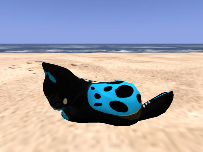 Stray Cats Kitten - Stray Kitty (M)