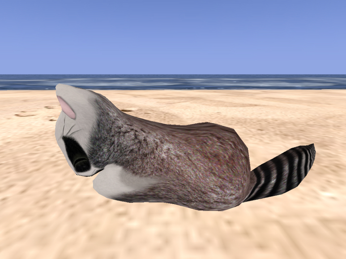 Stray Cats Kitten - Stray Kitty (M)