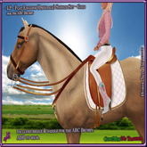 ~LP~ Flat Dressage Saddle Set [BOXED] ABC Brumby Gold
