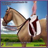 ~LP~ Flat Dressage Saddle Set [BOXED] ABC Brumby Red