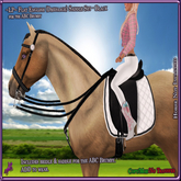 ~LP~ Flat Dressage Saddle Set [BOXED] ABC Brumby Black