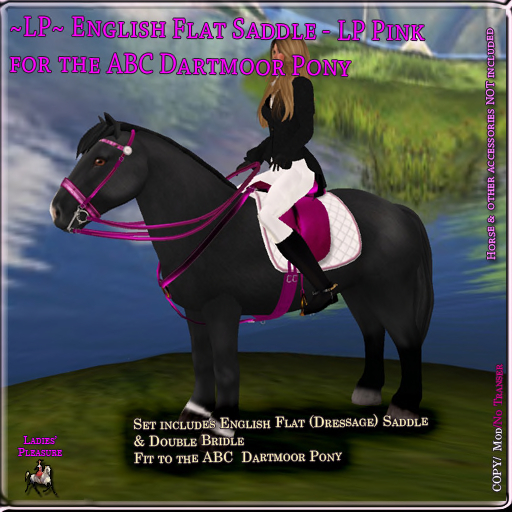 ~LP~ Flat English Set ABC Pony Dartmoor (Boxed) LP Pink