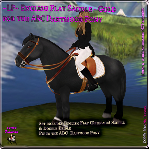 ~LP~ Flat English Set ABC Pony Dartmoor (Boxed) Gold