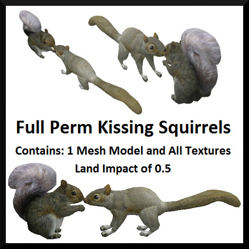 Full Perm Kissing Squirrels