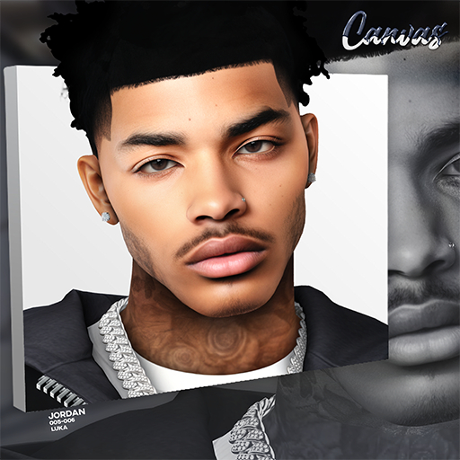 Canvas / Jordan Skin / Pack
