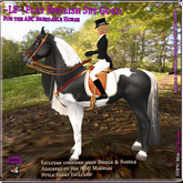 ~LP~ Flat English Set ABC Horse (Boxed) Marwari Gold