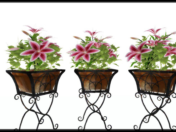 [AE] Home & Garden - Iron Rod Lily Potted Plant P