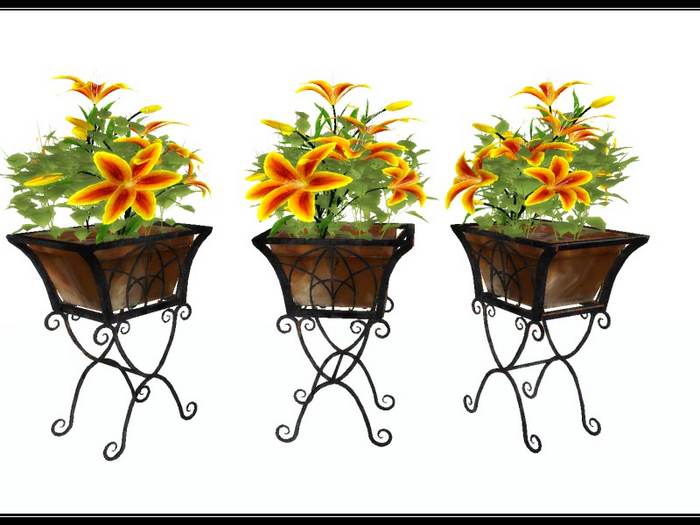 [AE] Home & Garden - Iron Rod Lily Potted Plant Y/O