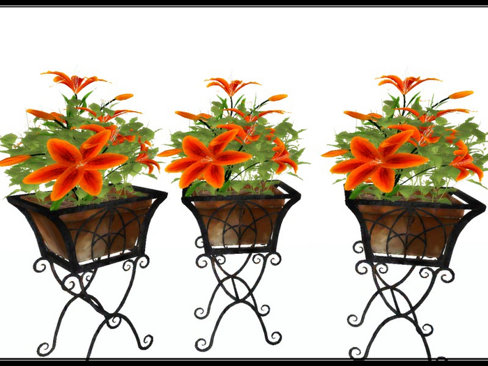[AE] Home & Garden - Iron Rod Lily Potted Plant O