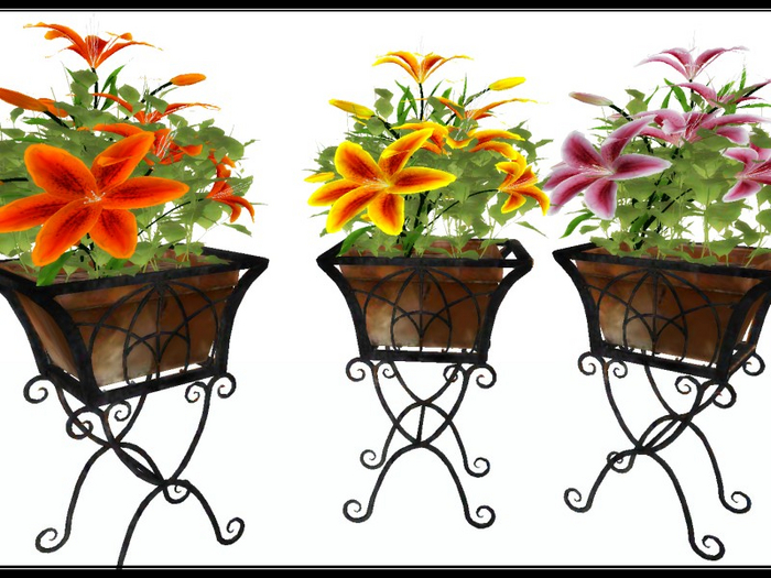 [AE] Home & Garden - Iron Rod Lily Potted Plant SET