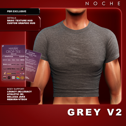 NOCHE. Hawk Cropped Tee Grey