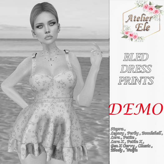 {AE} [ DEMO ]  BLED DRESS  PRINTS