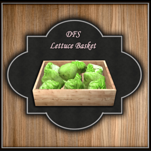 Bulk~Lettuce Basket~50