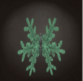 {Papillon} Fe/Mon/Vib/Hu/Butterfly/FlakewingB Cocoon