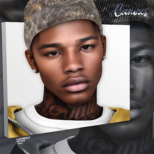 Canvas / Laurent Skin / Pack