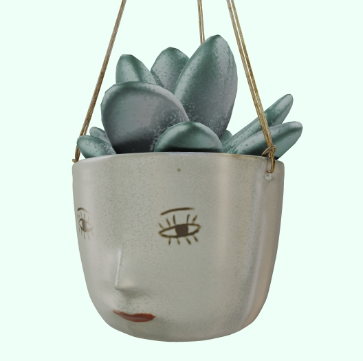 {vespertine} green means life - hanging succulent 3 RARE