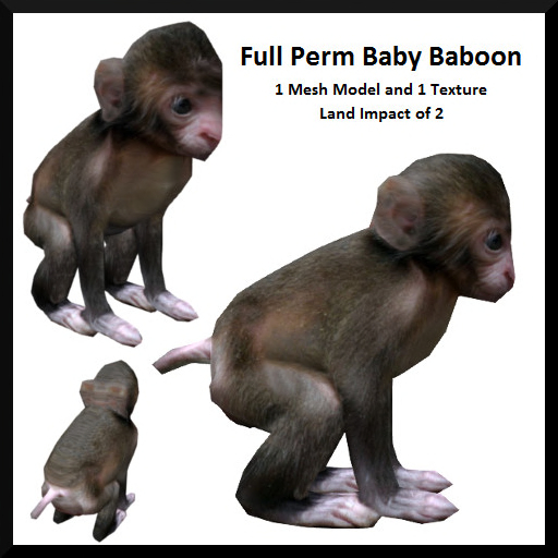 Full Perm Baby Baboon