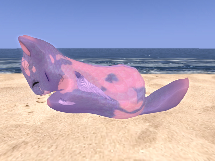 Stray Cats Kitten - Stray Kitty (M)